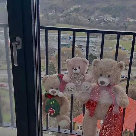 Aquilla Tower 8th Floor Panoramic View Апартаменти Клуж-Напока